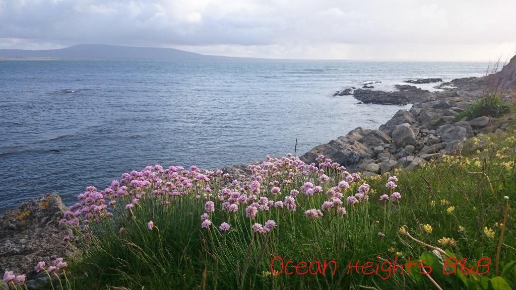 Ocean Heights Frühstückspension Lissadell