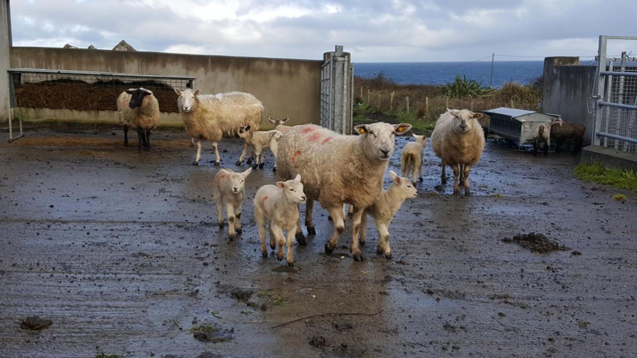 Bed & Breakfast Ocean Heights Lissadell